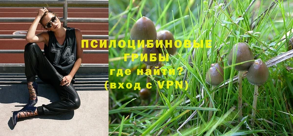 прущая мука Лиски