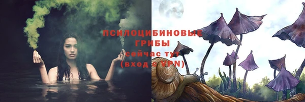 spice Липки