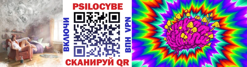 OMG ТОР  закладка  Гвардейск  Галлюциногенные грибы Psilocybine cubensis 